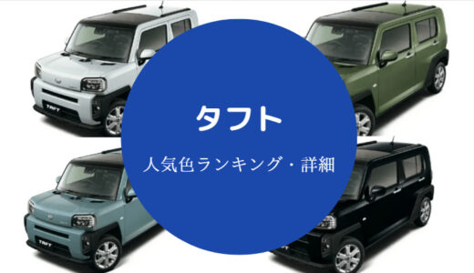 【タフトの人気色】最新版・女性から・不人気・一覧・実態など