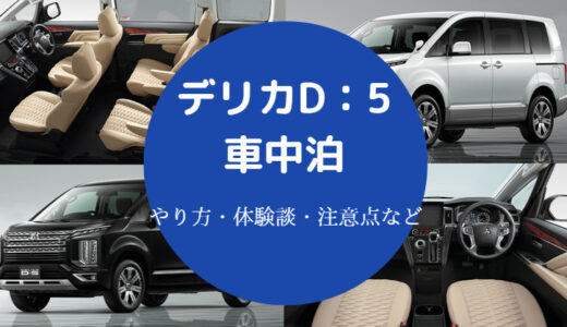 【デリカD5の車中泊】段差解消のやり方・室内寸法・自作・おすすめ等