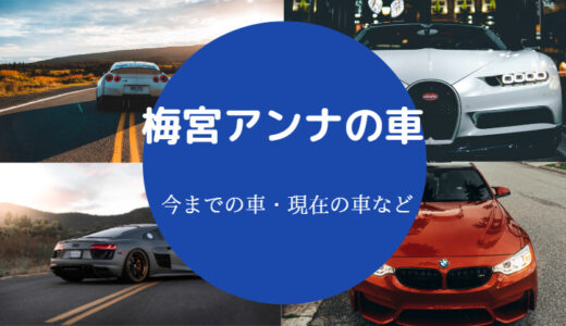 【梅宮アンナの車】現在の年収は？全盛期は？身長・愛車遍歴なども