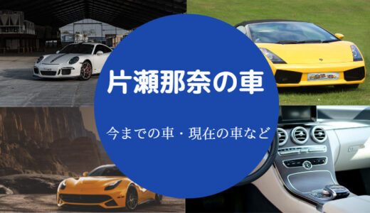 【片瀬那奈の愛車】年収は？現在は？レクサス？最新情報を詳しく解説