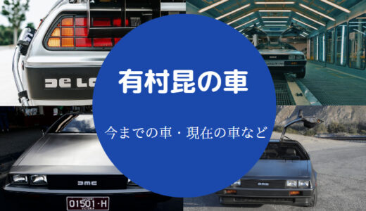 【有村昆の車】デロリアンは売却？買った芸能人は？現在は？など