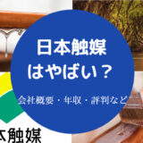 日本触媒はやばい?