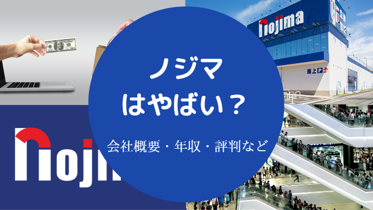 ノジマはやばい?