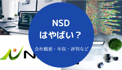 【NSDはやめとけ？】やばい？パワハラ？評判・口コミ・離職率など