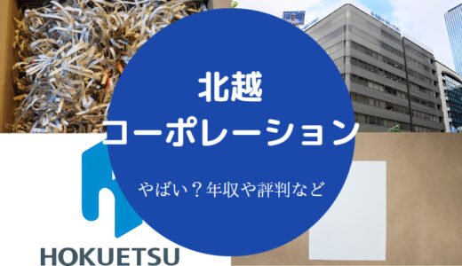 【北越コーポレーションは潰れる？】将来性・就職難易度・評判など