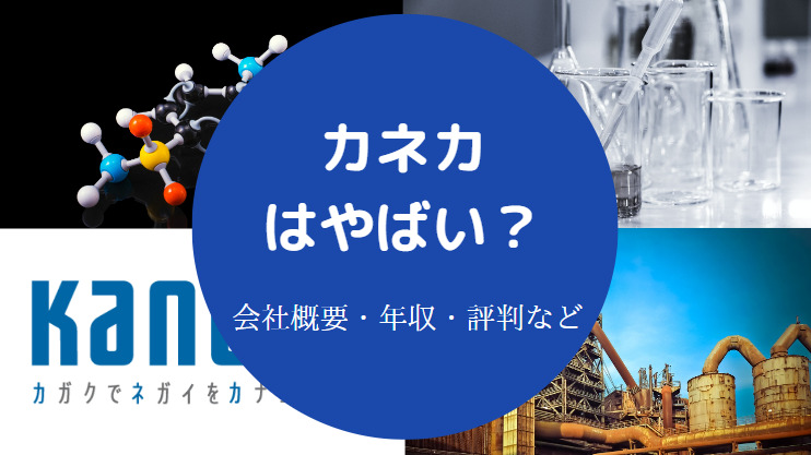 カネカはやばい？