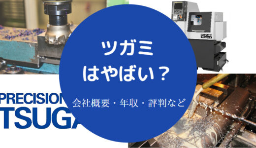 【ツガミは最悪？】年収・評判・初任給・将来性・やばい？実態など