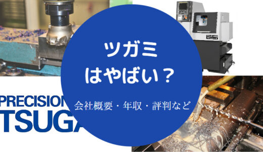 【ツガミは最悪？】年収・評判・初任給・将来性・やばい？実態など