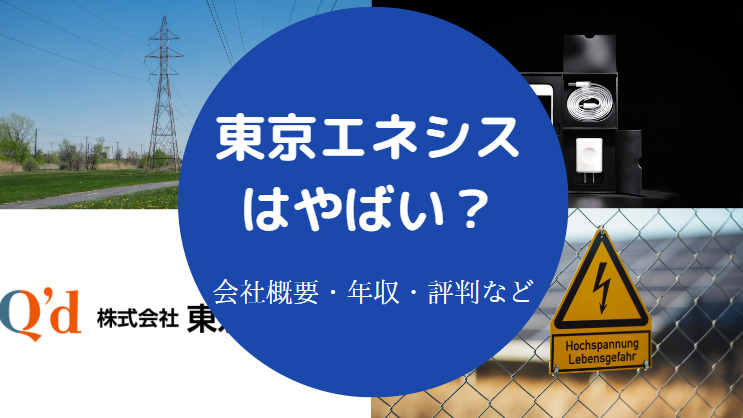東京エネシスはやばい？