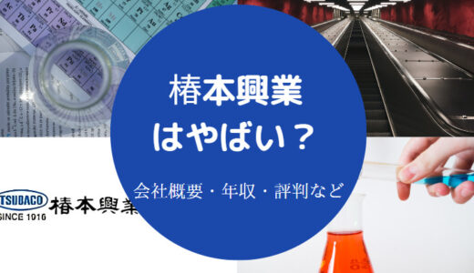 【椿本興業のパワハラ？】激務？評判・採用大学・年収・口コミなど