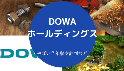 【DOWAホールディングスはやばい？】ホワイト？激務？評判・年収など