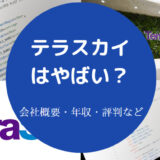 テラスカイはやばい?