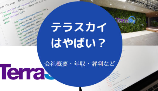 【テラスカイの評判】将来性は？年収は低い？離職率は？やばい？など