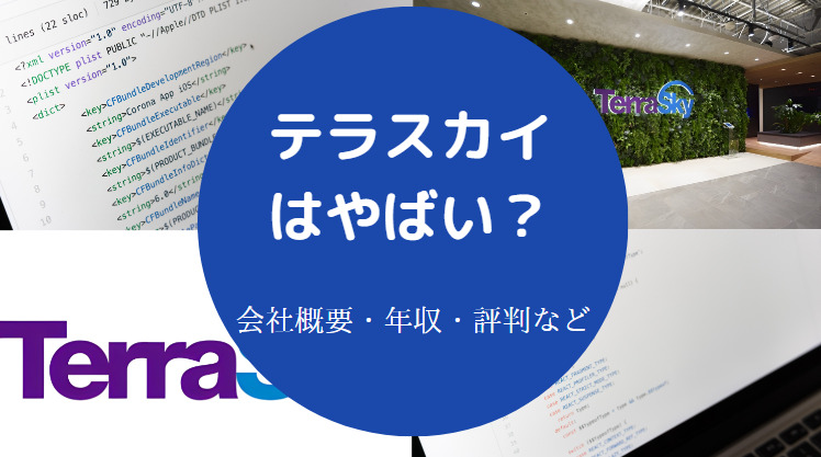 テラスカイはやばい？