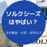 ソルクシーズはやばいのか
