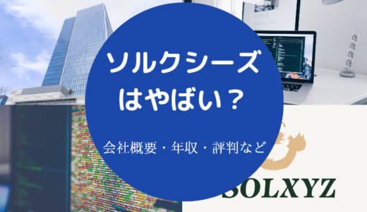 【ソルクシーズの評判】年収は？就職難易度は？給料が安い？など