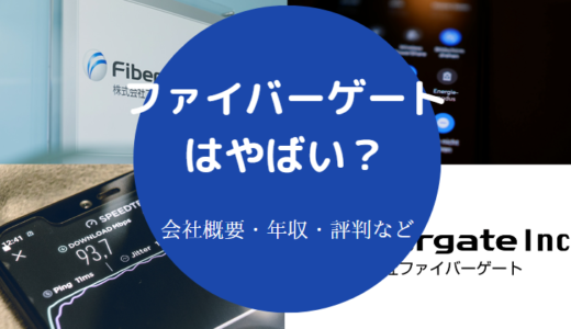 【ファイバーゲートはやばい？】年収・将来性・評判・口コミなど