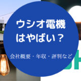 ウシオ電機はやばいのか