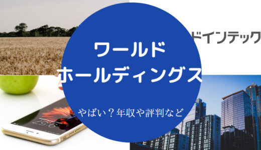 【ワールドホールディングスの評判】やばい？年収は？怪しい？など