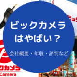 ビックカメラはやばいのか