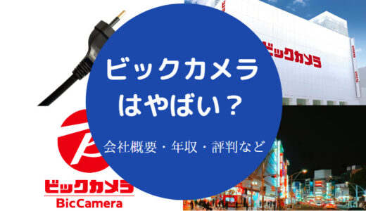 【ビックカメラはやばい？】評判悪い？辞めたい？年収低い？離職率等