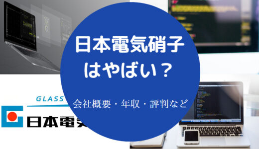 【日本電気硝子はやばい？】将来性・就職難易度・学歴フィルターなど