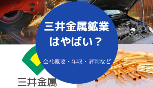 【三井金属鉱業はやばい？】激務？ホワイト？パワハラ？将来性など