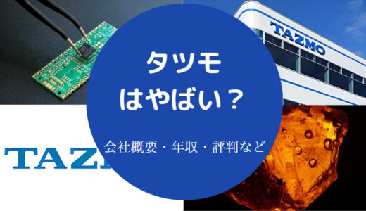 【タツモの将来性】評判・今後・年収・やばい？・掲示板など