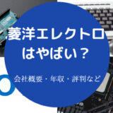 菱洋エレクトロはやばいのか