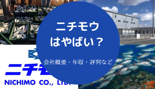 【ニチモウの就職難易度】評判・採用大学・年収・将来性・実態など