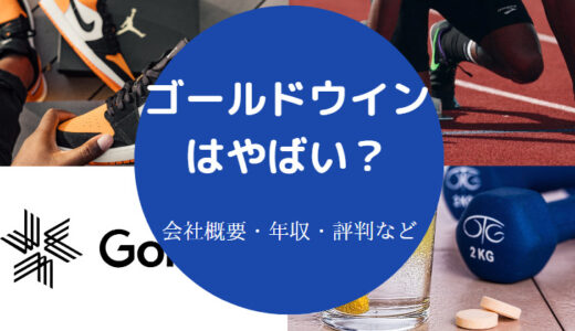 【ゴールドウインはいい会社？】採用大学・就職難易度・採用・年収等