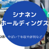 シナネンホールディングスはやばいのか