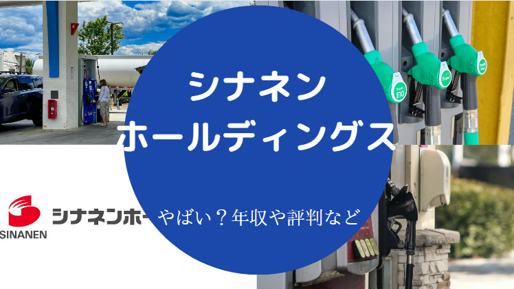 シナネンホールディングスはやばいのか