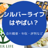 シルバーライフはやばいのか