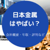 日本金属はやばいのか