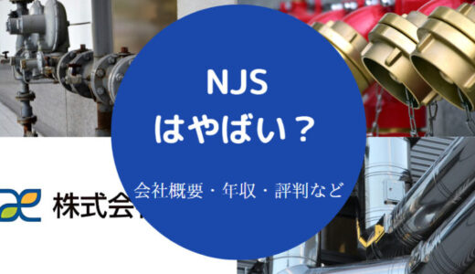 【NJSの就職難易度】激務・採用大学・年収・評判・年収・実態など