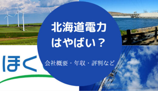 【北海道電力はやばい？】年収・採用大学・就職難易度・きつい？など