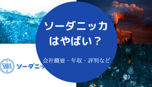 【ソーダニッカはホワイト？】年収・就職難易度・評判・採用大学など