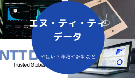 【エヌ・ティ・ティ・データはやばい？】年収・評判・就職難易度など