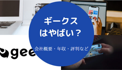 【ギークス株式会社の評判】年収・口コミ・炎上・就職難易度など