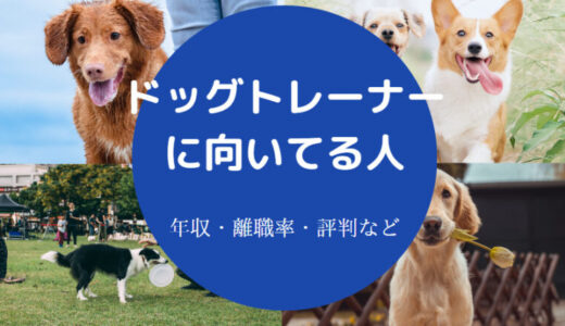 【ドッグトレーナーに向いてる人】大変なこと・年収・将来性・やりがい