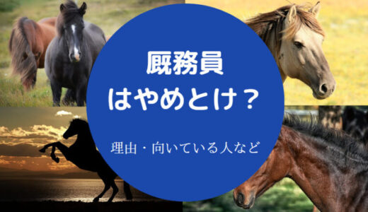 【厩務員はやめとけ？】きつい？危険？辛い？女性・体重制限など