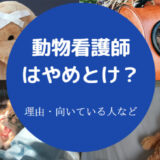 動物看護師はやめとけ?