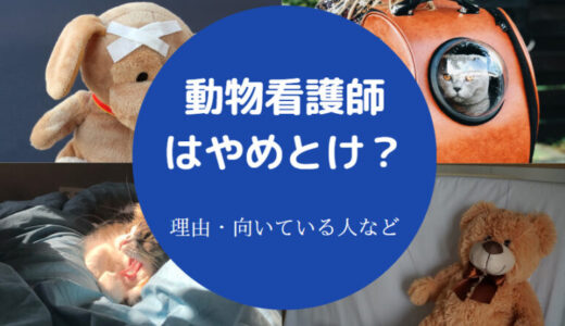 【動物看護師はやめとけ？】性格悪い？離職率は？いじめ？年収など