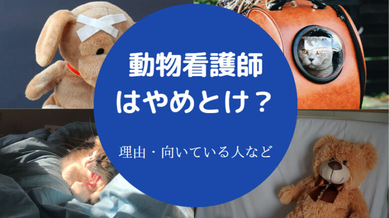 動物看護師はやめとけ？