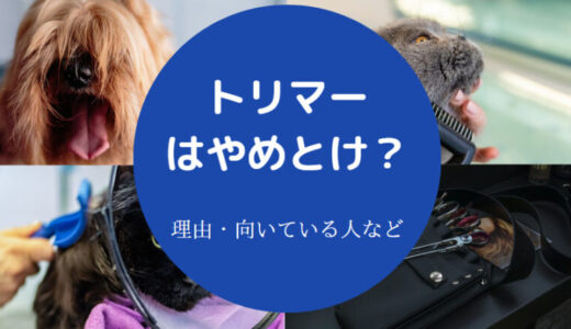 【トリマーはやめとけ？】性格悪い？離職率・年収・性格悪い？など