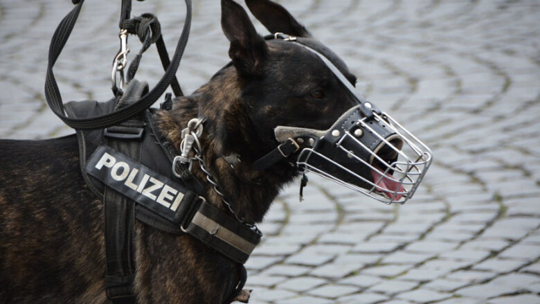 警察犬訓練士に向いている人の特徴